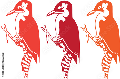 woodpecker vector