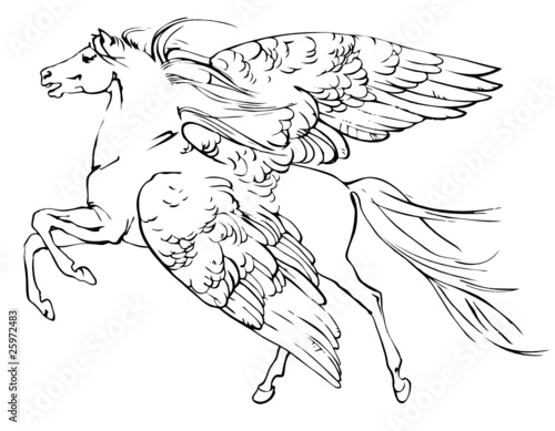Pegasus sketch