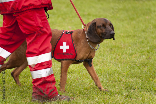 Rettungshund