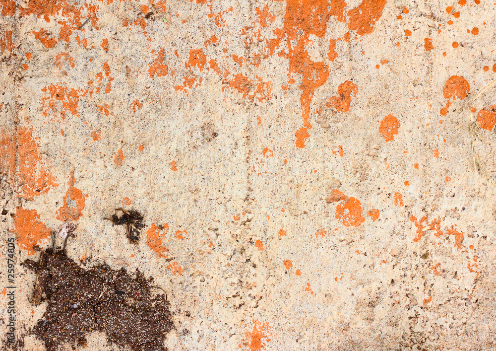 Fototapeta premium texture