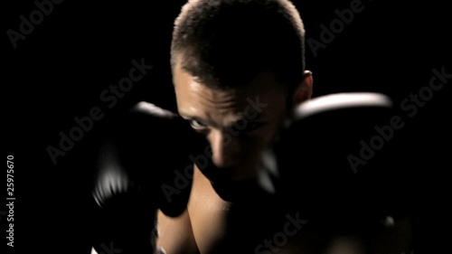 Boxer Throws Punches (close) photo