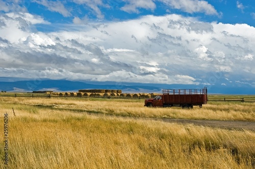 Cattle Truck