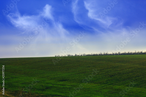 The green field and white clouds