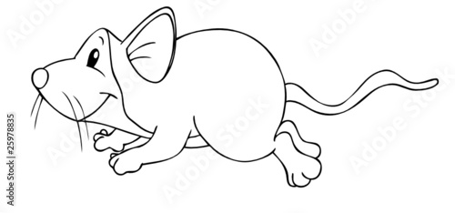 Maus, Ratte, klein, dick, flink, schnell, Käse