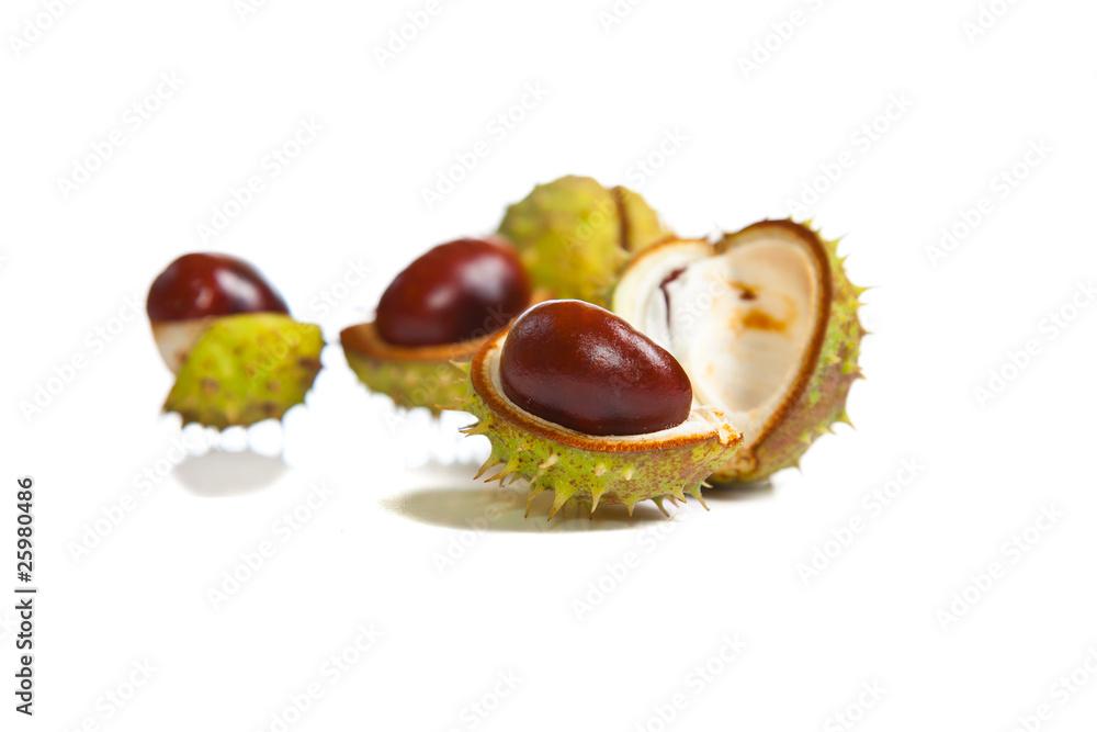 Composition of autumn chestnuts and leaves Composition of autumn chestnuts and leaves