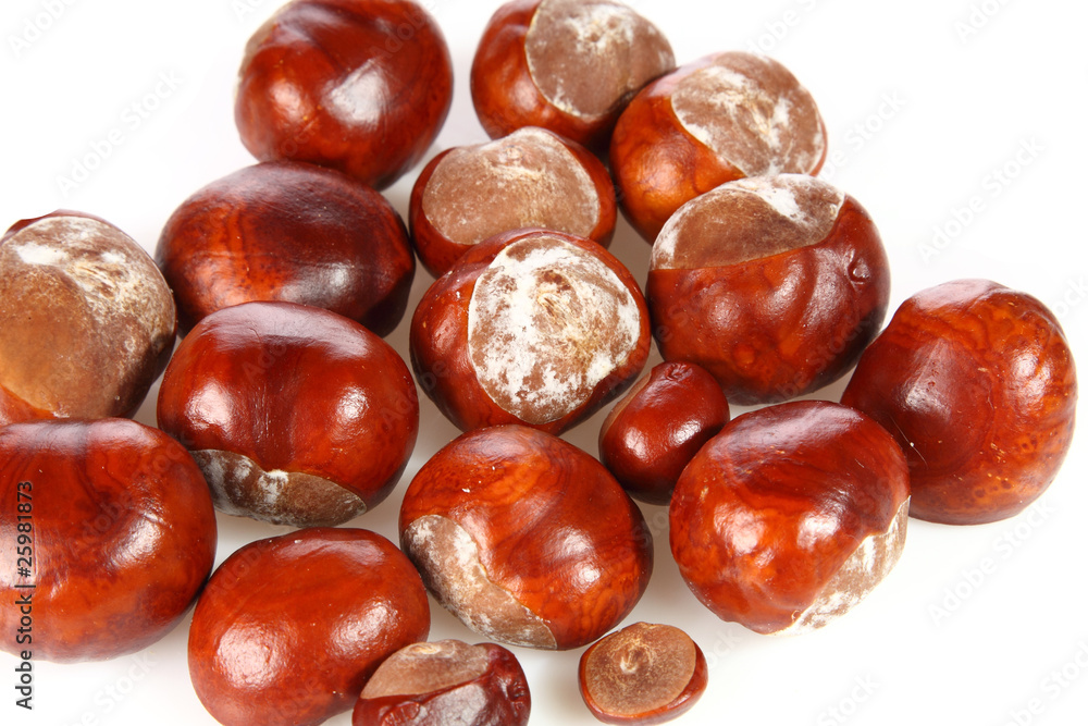 Chestnuts Chestnuts