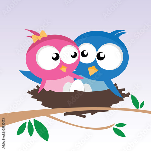 birds in love