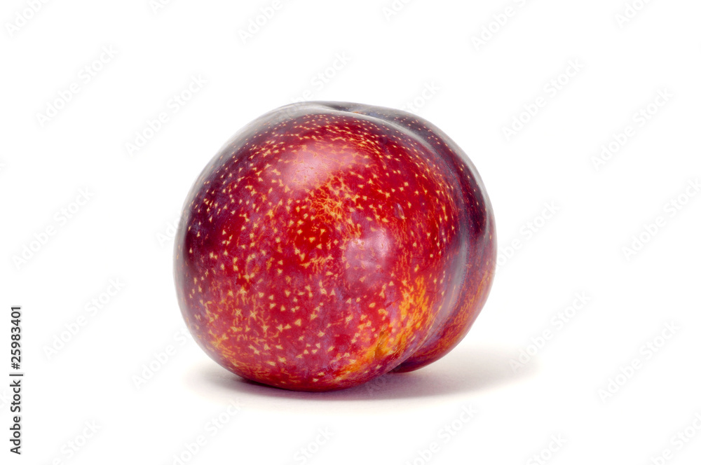 Obraz premium plum