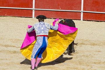 Poster Stierenvechten Matador en stier in Madrid  © Outsiderzone