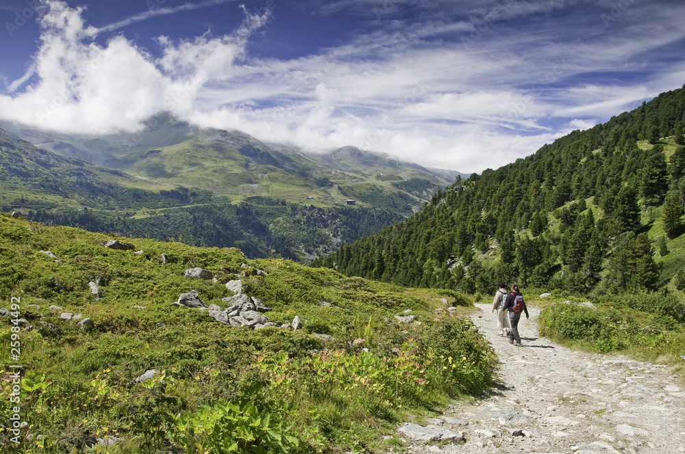 Parque nacional de la Vanoise