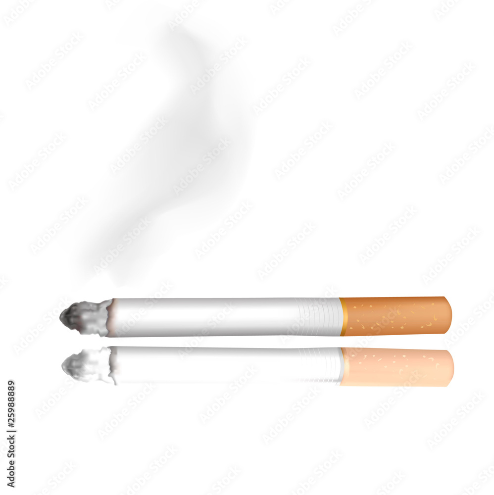 Smoking cigarette isolated on white.Vector. Smoking cigarette isolated on white.Vector.