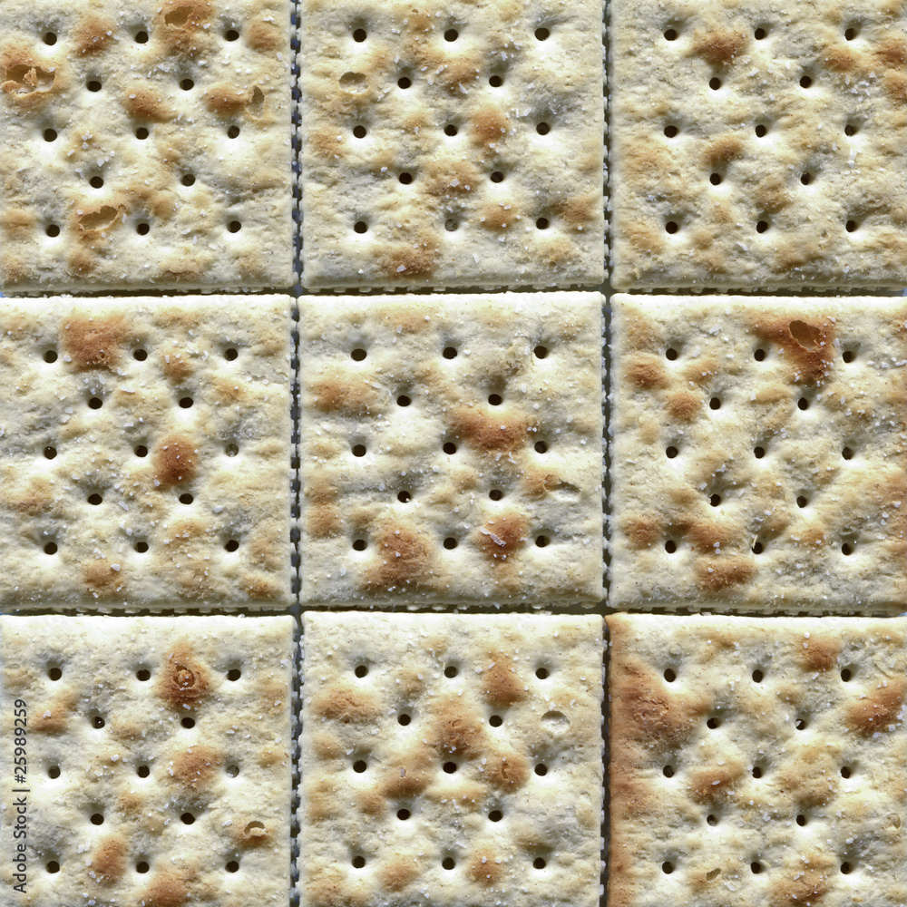 saltine cracker closeup saltine cracker closeup