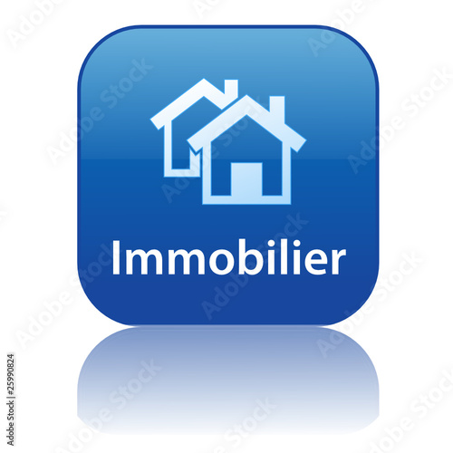 Bouton Web IMMOBILIER (agence immobilière propriété achat vente)