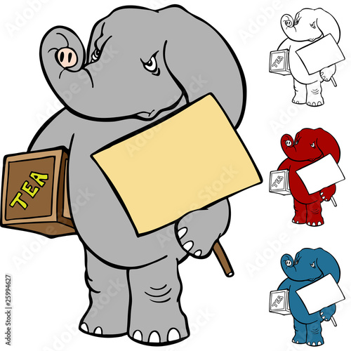 Angry Tea Party Protester