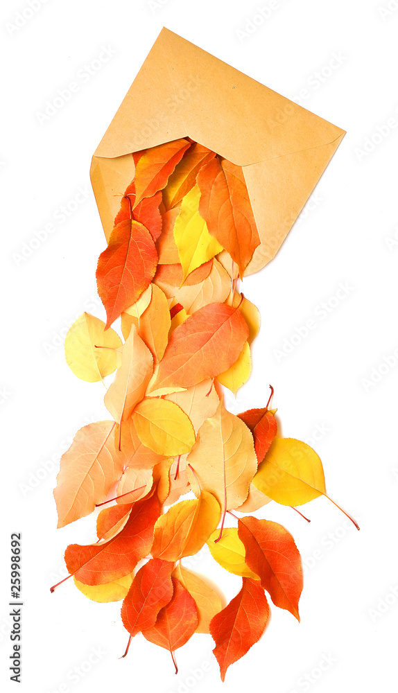 autumnal envelope