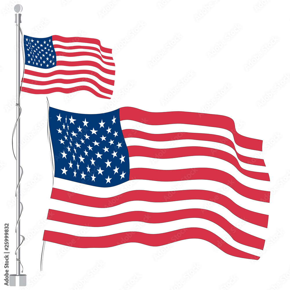 Obraz premium USA flag