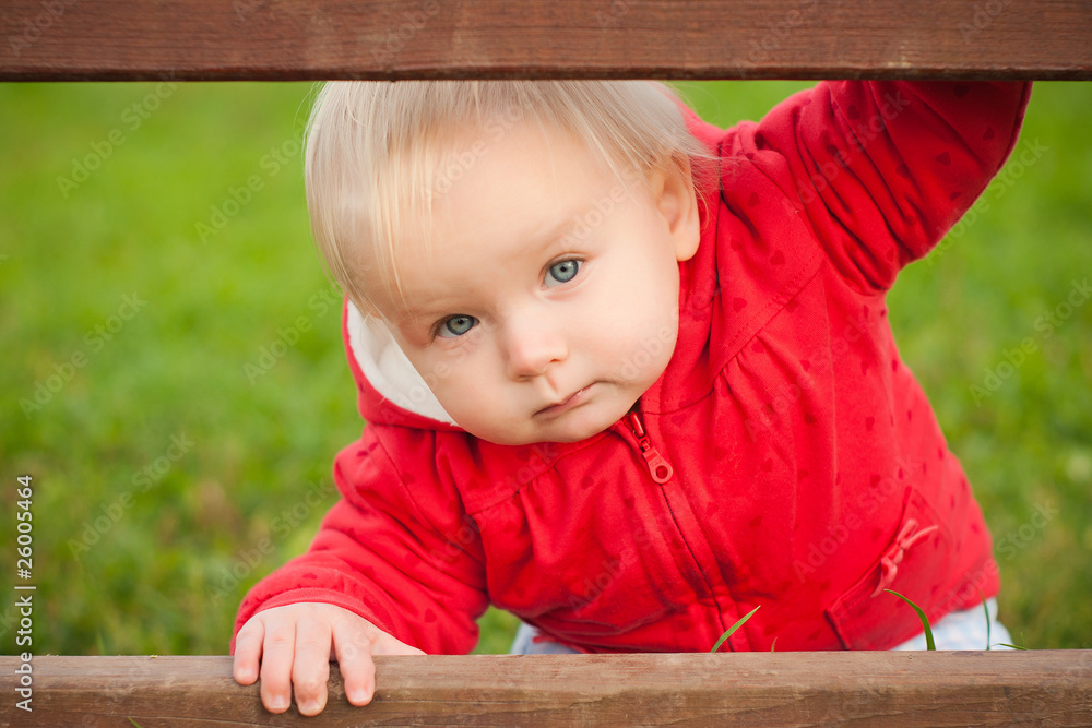 young adorable baby looking between the wood fence in park young adorable baby looking between the wood fence in park