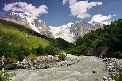 Adishi glacier with Adishi grove