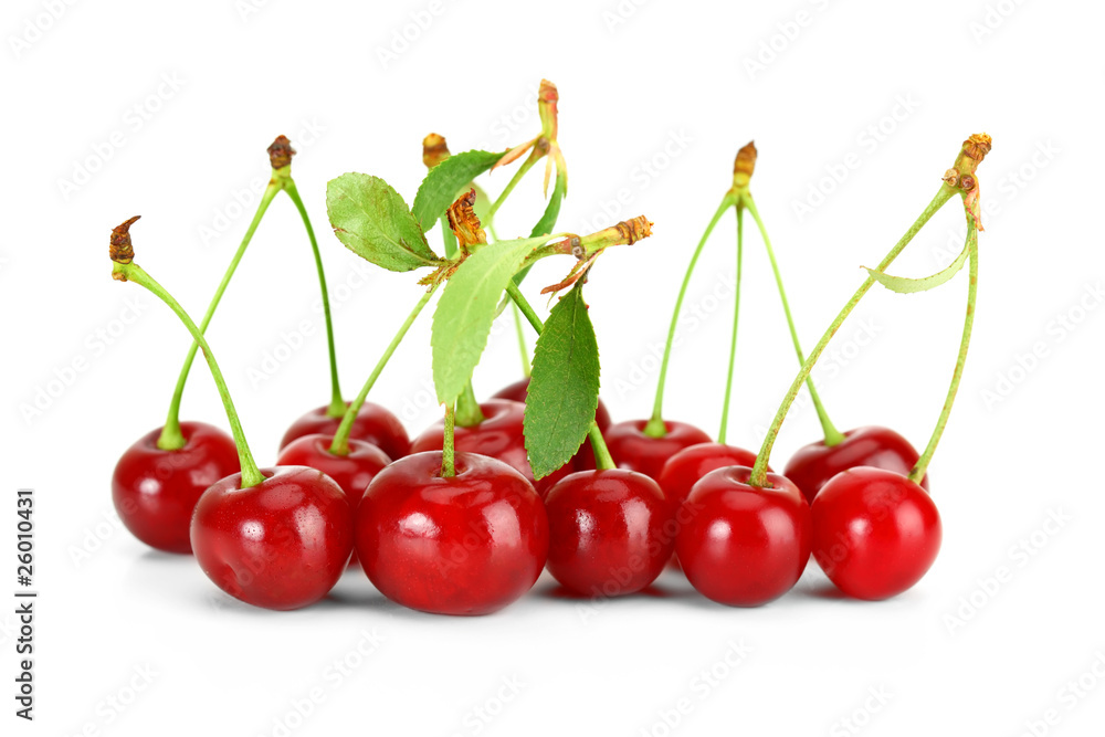 Вишня Вишня