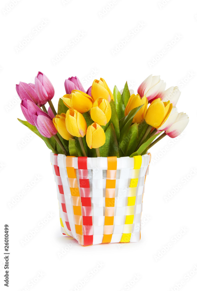 Pot of colorful tulips isolated on white