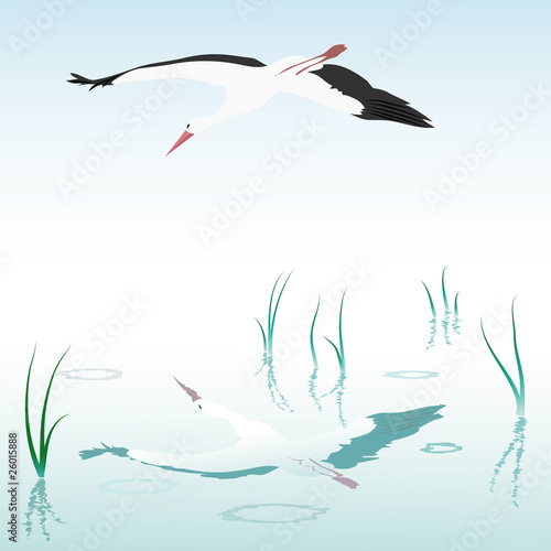 vector stork