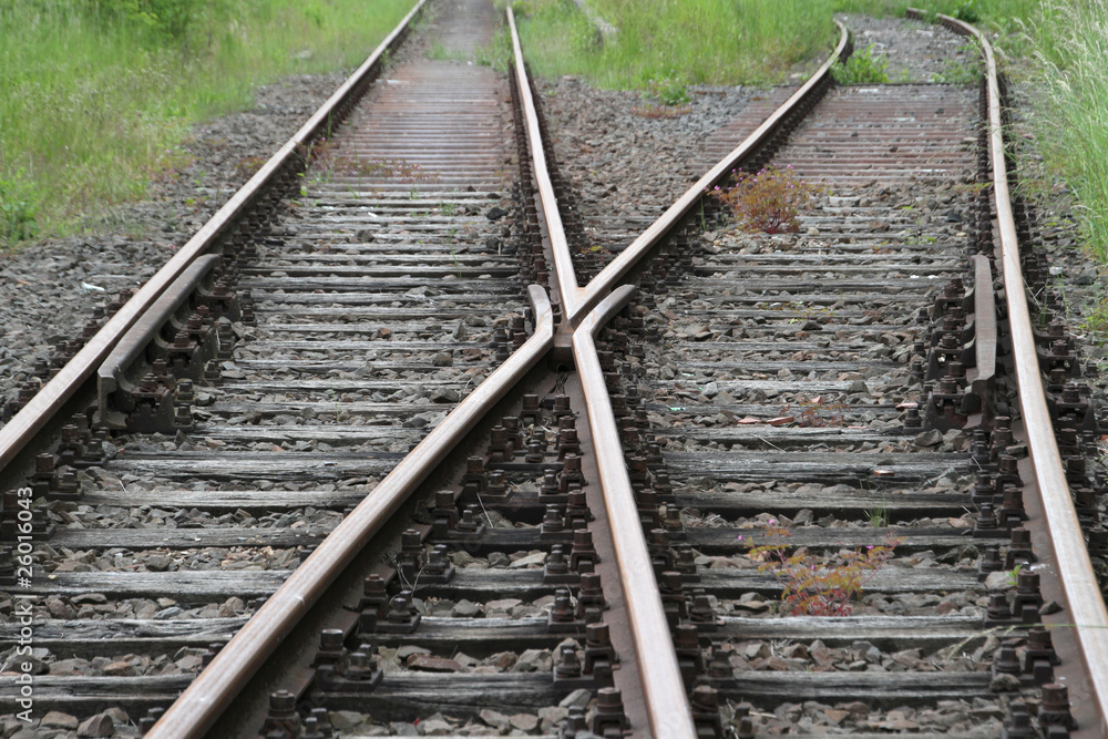 Fototapeta premium Entscheidung