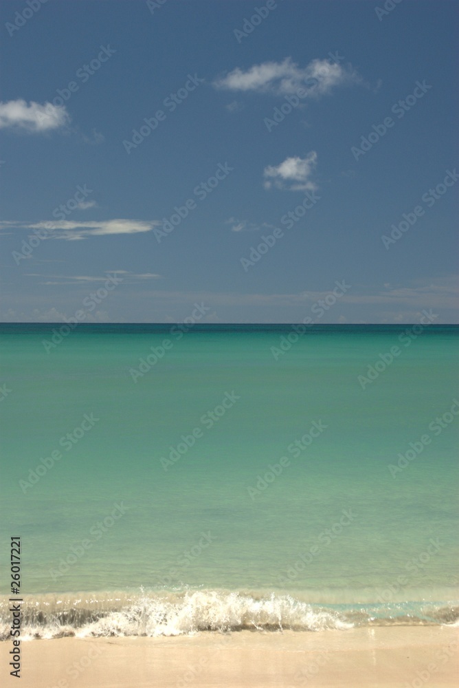 Fototapeta premium Au large des Salines - Martinique