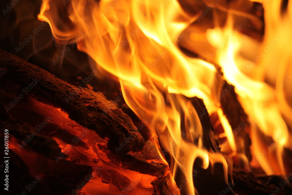 Fototapeta premium Flammen