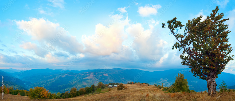 morning autumn mountain panorama morning autumn mountain panorama