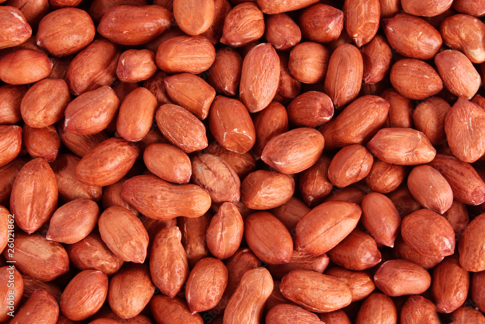 Peanuts Peanuts