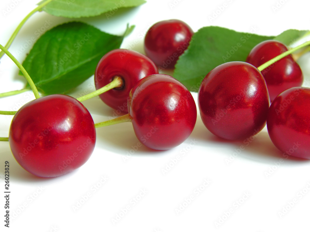 ripe cherries, isolated on white ripe cherries, isolated on white