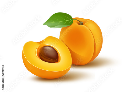 Apricot 3