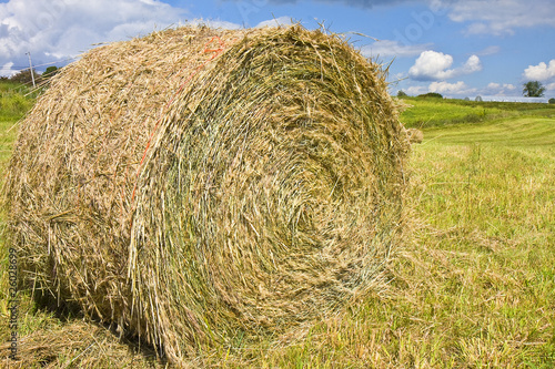 Large Haystack Roll