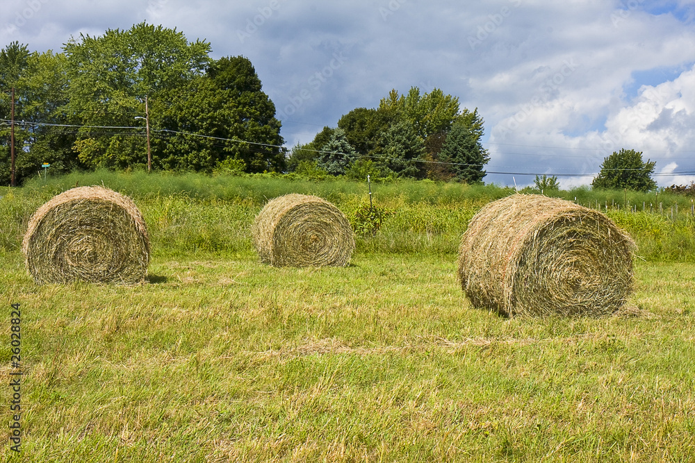 Rolled HayStacks Rolled HayStacks