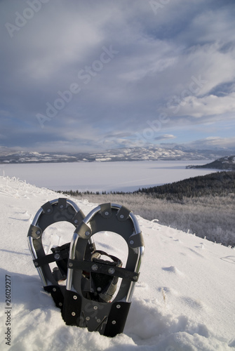 Snowshoes
