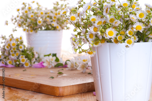 Camomiles bouquets