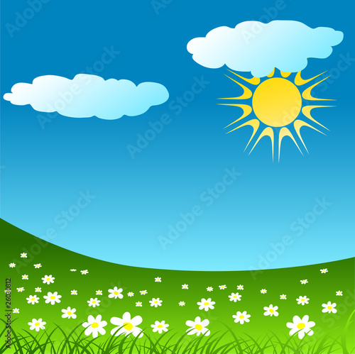beautiful white flower meadow vector
