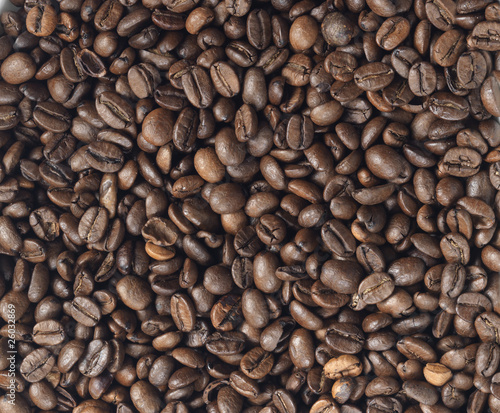 backdrop of coffee seeds