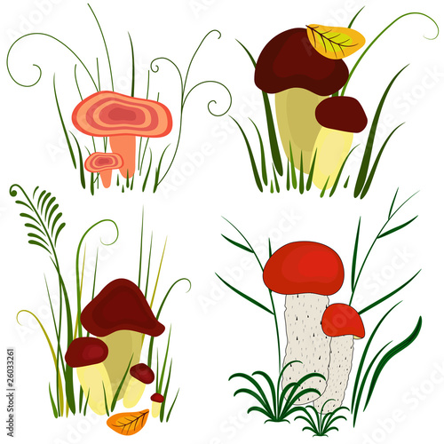 Set of mushroom