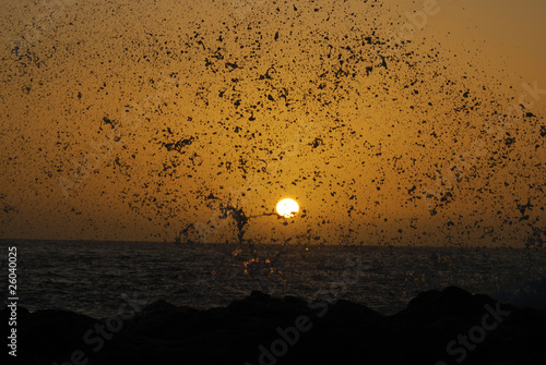 Explosion de la naturaleza photo