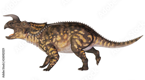 einiosaurus long side