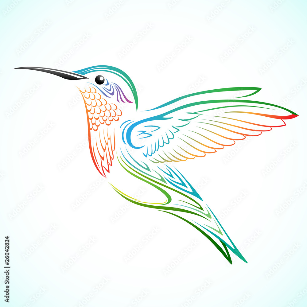 Obraz premium kolorowy koliber