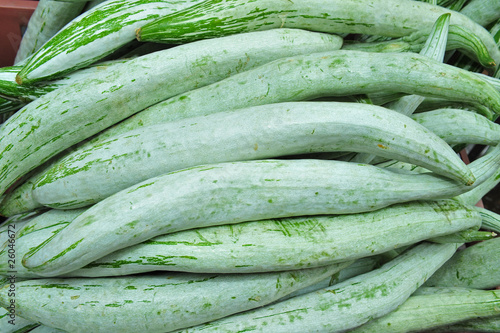 snake gourd fruit in the market