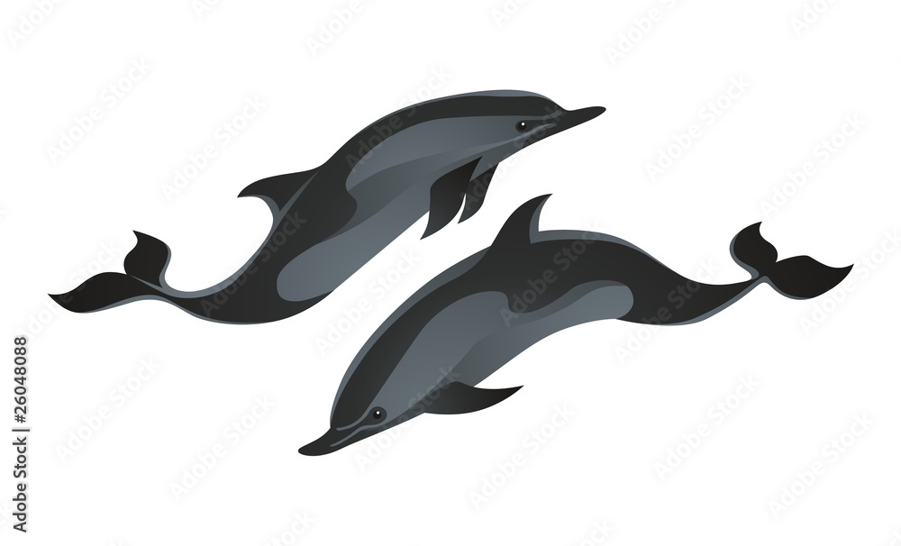 Obraz premium Dolphins vector