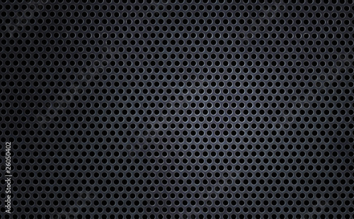 Metal net
