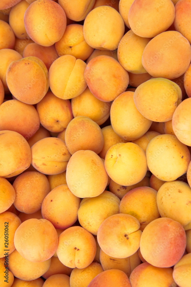 apricot, market-place apricot, market-place