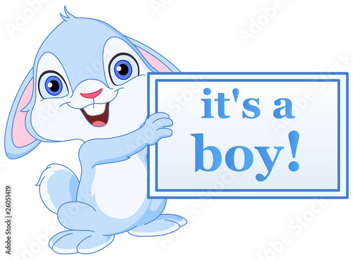 Baby bunny boy