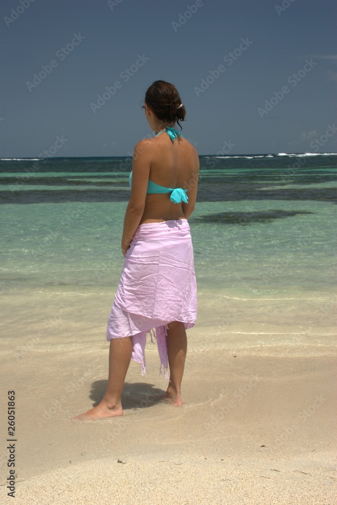 Au bord d'une plage paradisiaque Au bord d'une plage paradisiaque
