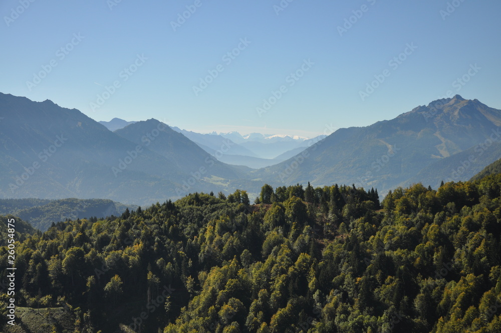 Naklejka premium paysage alpin