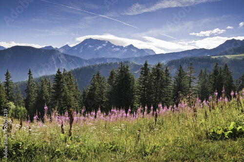 Parque nacional de La Vanoise photo